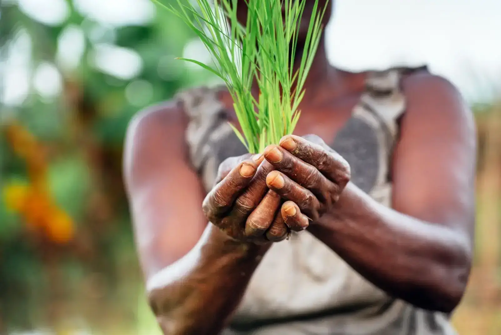 xr:d:dafpojgqsly:57,j:2997543798119656795,t:23073111